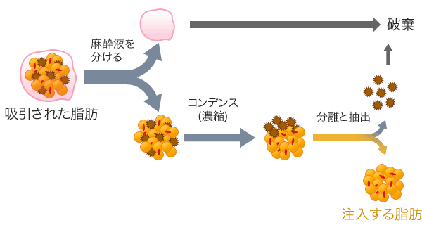 コンデンスリッチファットのイメージ